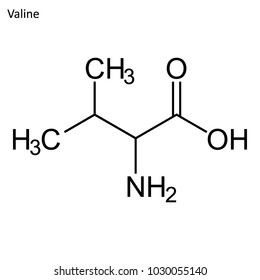 Skeletal formula of Valine. Amino acid molecule