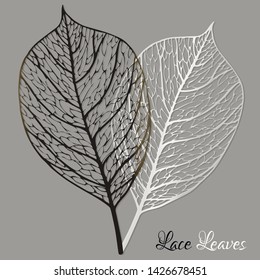 Skeletal leaves. Background with two white and black skeletons of leaves. Vector illustration.