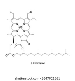 Estrutura esquelética de β-clorofila. Ilustração esquemática do composto de pigmento tetrapirrol do tipo cloro. Diagrama simples, fórmula química.