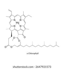 Estrutura esquelética de α-clorofila. Ilustração esquemática do composto de pigmento tetrapirrol do tipo cloro. Diagrama simples, fórmula química.