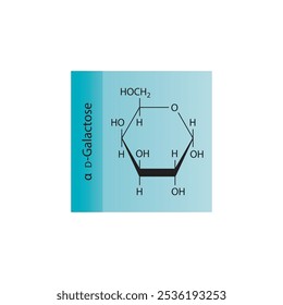 α-D-Galactose-Skelett-Strukturdiagramm.Zuckerverbindung Molekül wissenschaftliche Illustration.