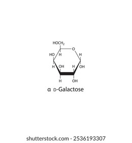 α-D-Galactose diagrama de estrutura esquelética.Molécula composta de açúcar ilustração científica.