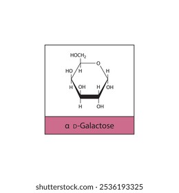 α-D-Galactose diagrama de estrutura esquelética.Molécula composta de açúcar ilustração científica.