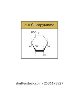 α-D-Glucopyranose skeletal structure diagram.Sugar compound molecule scientific illustration.