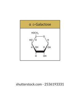 α-D-Galactose-Skelett-Strukturdiagramm.Zuckerverbindung Molekül wissenschaftliche Illustration.