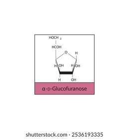 α-D-Glucofuranose esquelética estrutura diagrama.Molécula composta de açúcar ilustração científica.