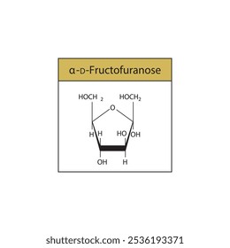 α-D-Fructofuranose esquelética estrutura diagrama.Molécula composta de açúcar ilustração científica.