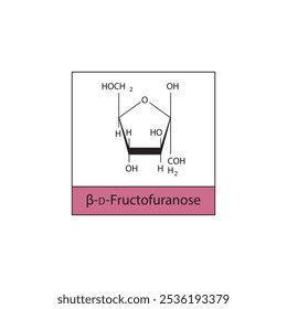 β-D-Fructofuranose skeletal structure diagram.Sugar compound molecule scientific illustration.