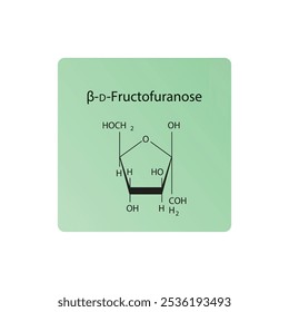 β-D-Fructofuranose skeletal structure diagram.Sugar compound molecule scientific illustration.