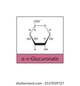 α-D-Glucuronato diagrama estrutura esquelética.Molécula composta de açúcar ilustração científica.