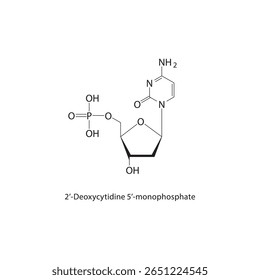 Estrutura esquelética da 2’-desoxicitidina-5’-monofosfato Ilustração esquemática do composto nucleotídeo. Diagrama simples, fórmula química.