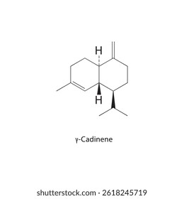 γ-Cadineno estrutura esquelética. Ilustração esquemática do composto de sesquiterpeno. Diagrama simples, fórmula química.