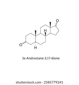 5α-Androstane-3,17-dione skeletal structure.Steroid ketone compound schematic illustration. Simple diagram, chemical formula.