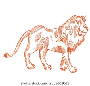 Skeletal system of animals. Animals Bone Structure hand drawing vector illustration