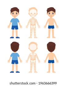 Skeletal system of Child. Isolated Cute Young Caucasian Boy in Clothes, Shorts, Shoes, Shirt and Underwear. Front Rear View. Illustration for Biology, Anatomy Lesson. Color Cartoon Flat style. Vector