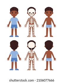 Skeletal System of a Small Child. Human Skeleton. Front and Back view. A Pretty Boy Standing and Smiling. Illustration for Lesson of Anatomy and Biology. Education for Little Children. Vector image.