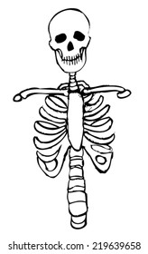 Snowman Skeleton Blue Winter Bone Anatomy Stock Illustration 1568841289