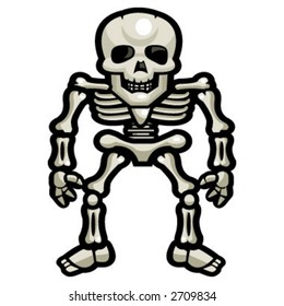 Skeleton