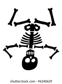 Skeleton