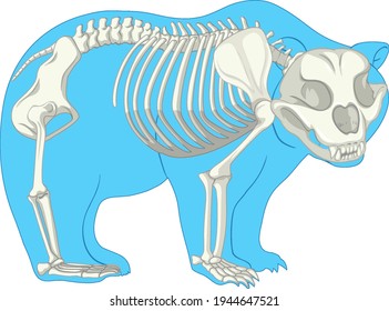 676 Bear anatomy Images, Stock Photos & Vectors | Shutterstock