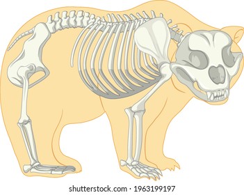 676 Bear anatomy Images, Stock Photos & Vectors | Shutterstock