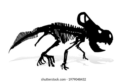 The Skeleton of ancient big dinosaur.