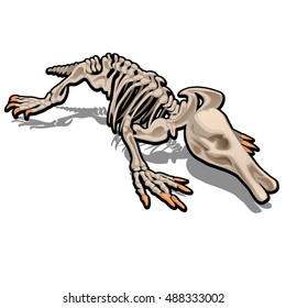Skeleton anteater isolated on white background. Vector illustration.
