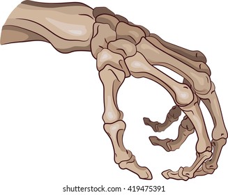 The Skeleton Arm Isolated On White, Vector Illustration, Eps-10