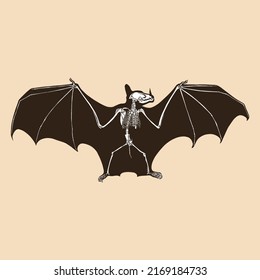 Skeleton bat vector illustration animal