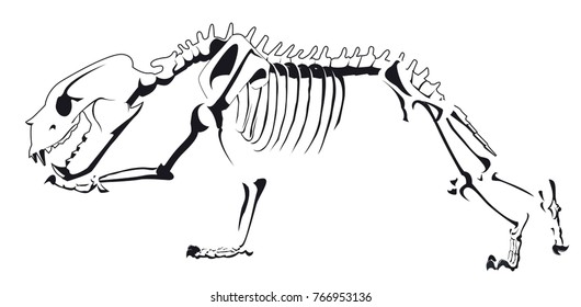 skeleton of bear running