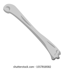 Skeleton bone icon. Isometric of skeleton bone vector icon for web design isolated on white background