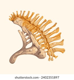 skeleton bones fossil watercolor illustration