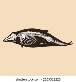 Skeleton bottlenose dolphin vector illustration animal
