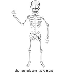 Skeleton Buddy Funny Skeleton Mascot Standing Stock Vector (Royalty ...