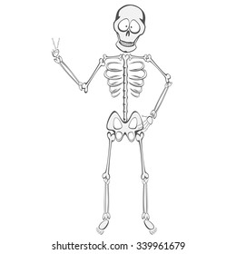Skeleton Buddy - A funny skeleton standing and showing victory sign 