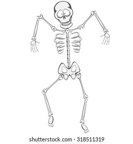 Skeleton Buddy - A funny skeleton is walking towards you like a zombie
