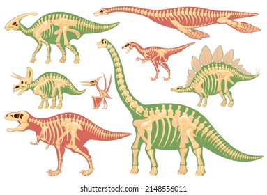 Skeleton of carnivorous and herbivorous foot-and-mouth disease. Archaeological excavations of dinosaur fossils. Studies of ancient animals. Vector illustration on a white background.