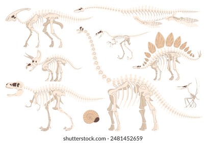 Esqueleto de la fiebre aftosa carnívora y herbívora. Excavaciones arqueológicas de fósiles de dinosaurios. Estudios de animales antiguos. Ilustración vectorial sobre fondo blanco.