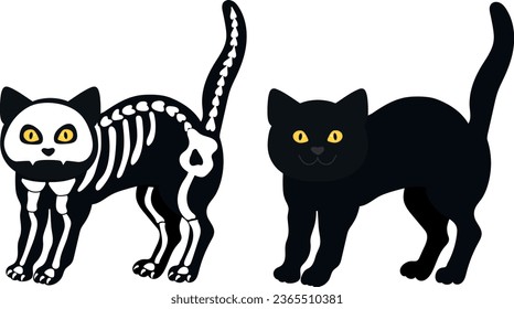 Skeleton cat with a black cat isolated on a white background. Halloween art. Vector illustration