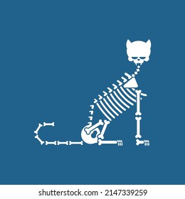 Skeleton cat isolated. Cat skull and bones. Vector illustration