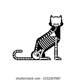 Skeleton cat isolated. Cat skull and bones. Vector illustration