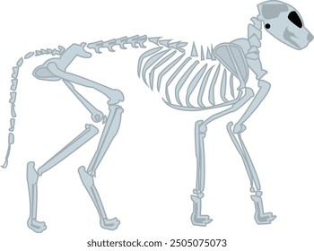 a skeleton of a cat vector. use this vector for sticker or anything else