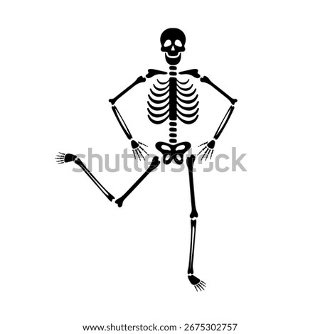 Skeleton character on Day of the Dead, skeleton character. Vector illustration.