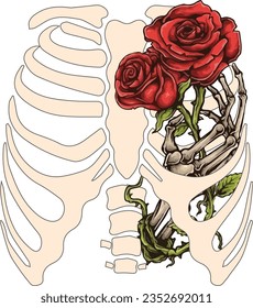  skeleton chest inside