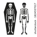 Skeleton in coffin. Death symbol vector illustration
