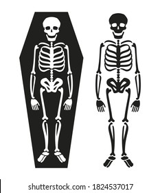 Skeleton in coffin. Death symbol vector illustration