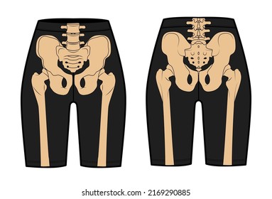Skeleton costume Human bones on Bike shorts front back view men women children for Halloween, festivals for printing on clothes flat grey color concept Vector illustration of anatomy isolated