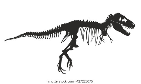 Skeleton of  dinosaur