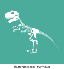 Skeleton dinosaur isolated. Dino Bones. Tyrannosaurus Skull. Prehistoric reptile  
