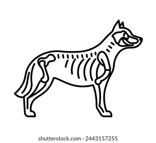 Skeleton of dog, line icon. Bones, skull, ribs, shoulder blades, spine - dog bone structure icon. Veterinary linear illustration, pictogram, editable strokes.